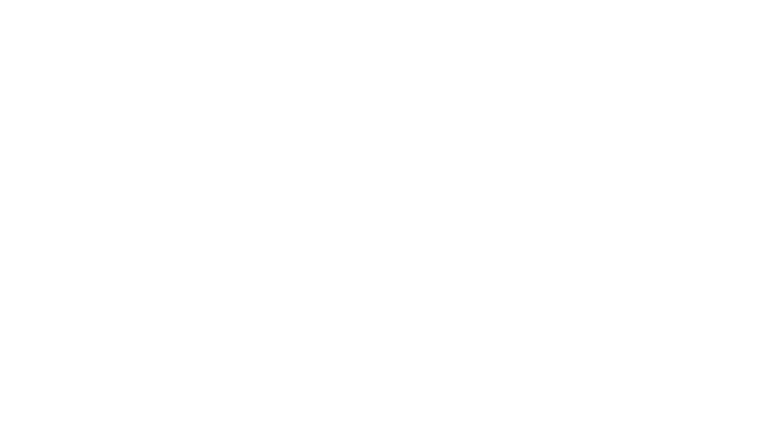VES | Consultoria de Trainee e Estágio