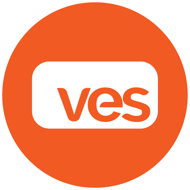 VES | Consultoria de Trainee e Estágio
